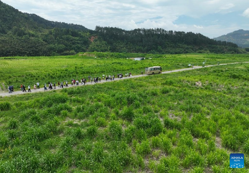 Fujian : ouverture de la 20e Conférence internationale sur le développement de l'industrie du Juncao à Fuzhou