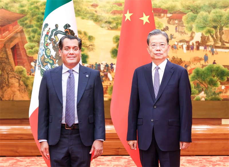 Le plus haut législateur chinois s'entretient avec le président de la Chambre des députés du Mexique