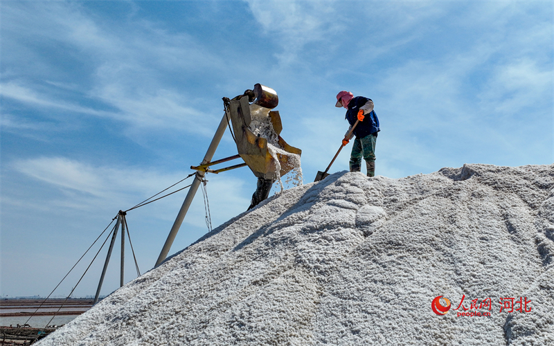 Hebei : une abondante récolte de sel de printemps à Caofeidian