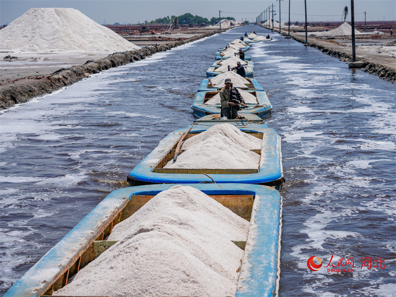 Hebei : une abondante récolte de sel de printemps à Caofeidian