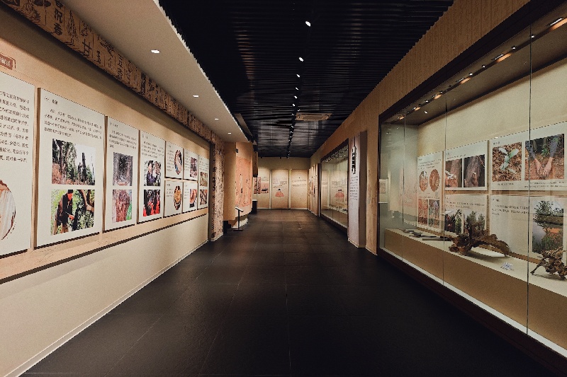 L'envoûtant parfum d'un arbre : à la découverte des techniques ancestrales du patrimoine culturel immatériel du Lingnan
