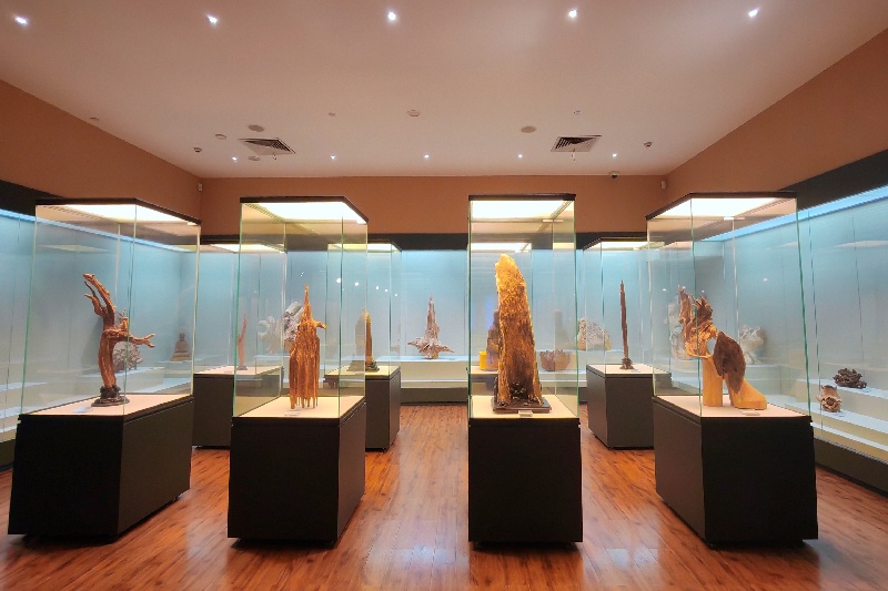 L'envoûtant parfum d'un arbre : à la découverte des techniques ancestrales du patrimoine culturel immatériel du Lingnan