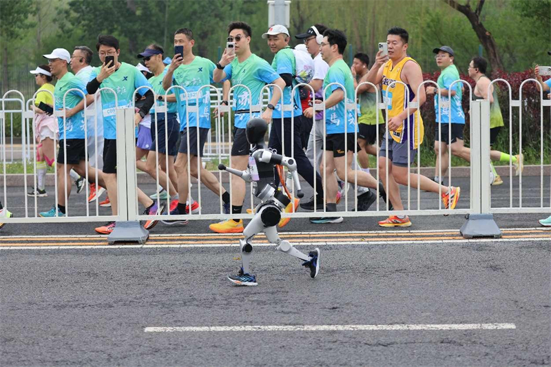 Le premier demi-marathon du robot humanoïde du monde commence à Yizhuang, le 19 avril 2025 à Beijing. (Feng Junshan / Pic.people.com.cn)