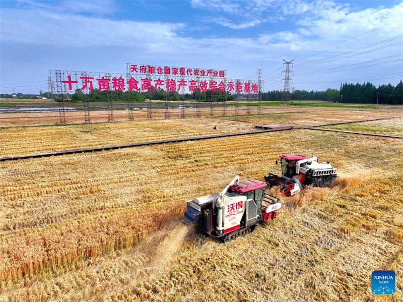 Le concours chinois d'agriculture avancée grâce à l'IA entre dans sa deuxième phase