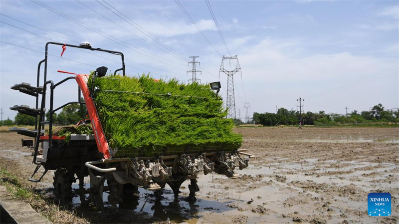 Le concours chinois d'agriculture avancée grâce à l'IA entre dans sa deuxième phase