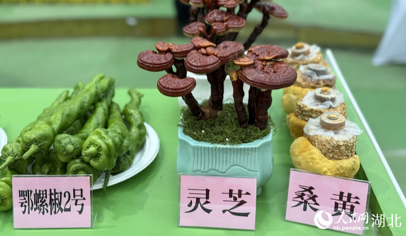 Hubei : le « noyau » de l'industrie des semences présente plus de 3 000 réalisations innovantes à Wuhan