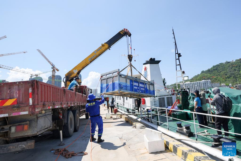 Hainan : un dauphin échoué retourne à la mer après avoir reçu des soins spécialisés à Sanya