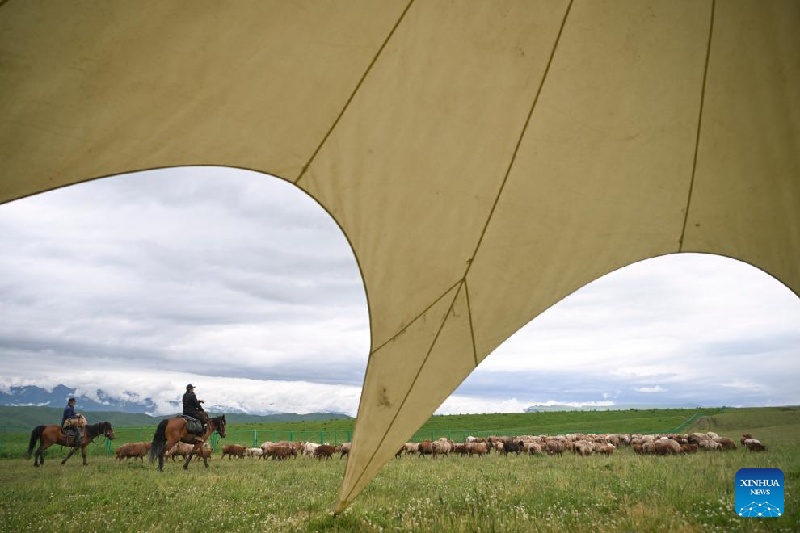 Xinjiang :  la transhumance d'été d'un berger et de son troupeau