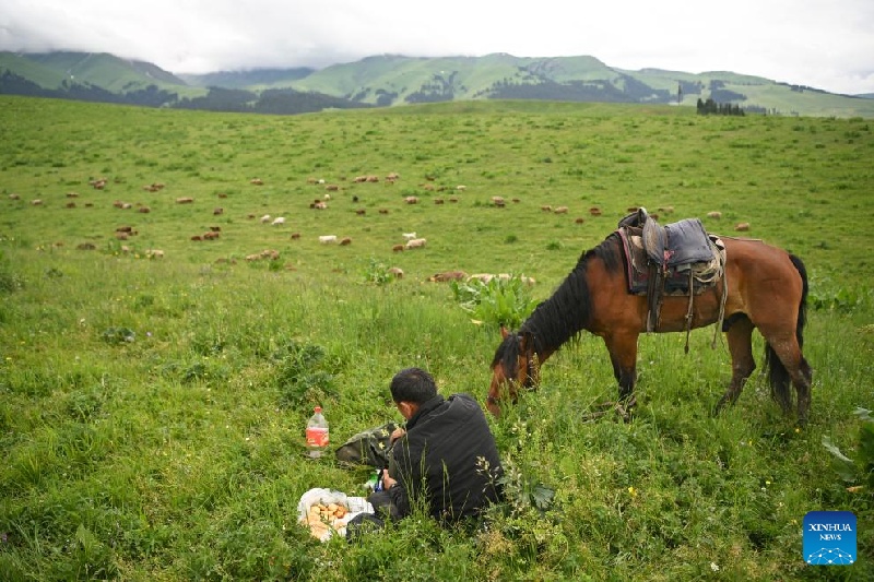 Xinjiang :  la transhumance d'été d'un berger et de son troupeau