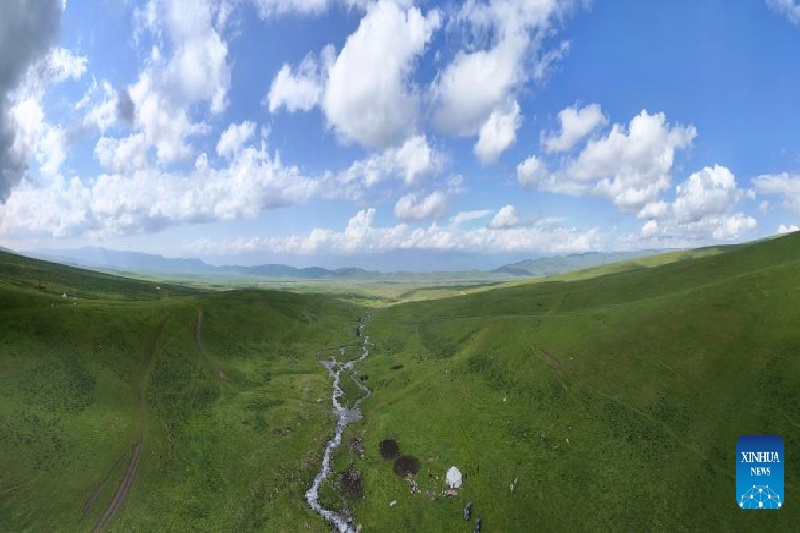 Xinjiang :  la transhumance d'été d'un berger et de son troupeau
