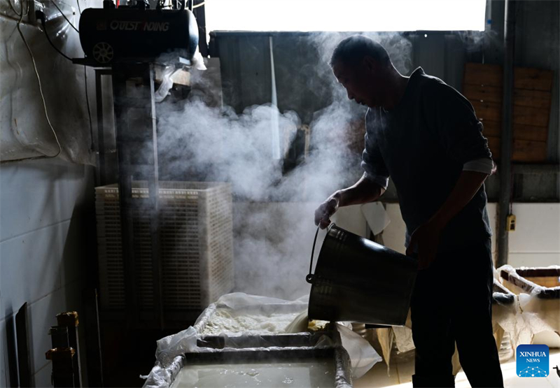 Anhui : comment les techniques traditionnelles de fabrication du tofu alimentent la croissance de l'industrie du soja à Huainan