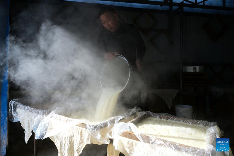 Anhui : comment les techniques traditionnelles de fabrication du tofu alimentent la croissance de l'industrie du soja à Huainan