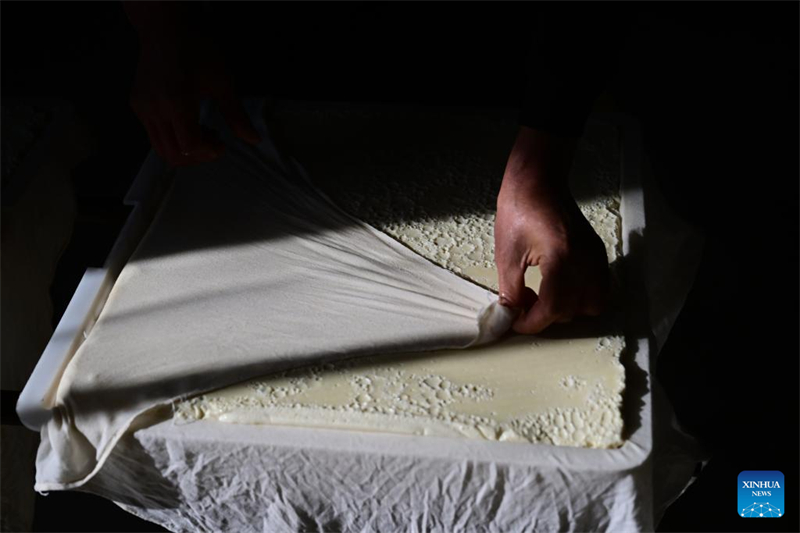 Anhui : comment les techniques traditionnelles de fabrication du tofu alimentent la croissance de l'industrie du soja à Huainan