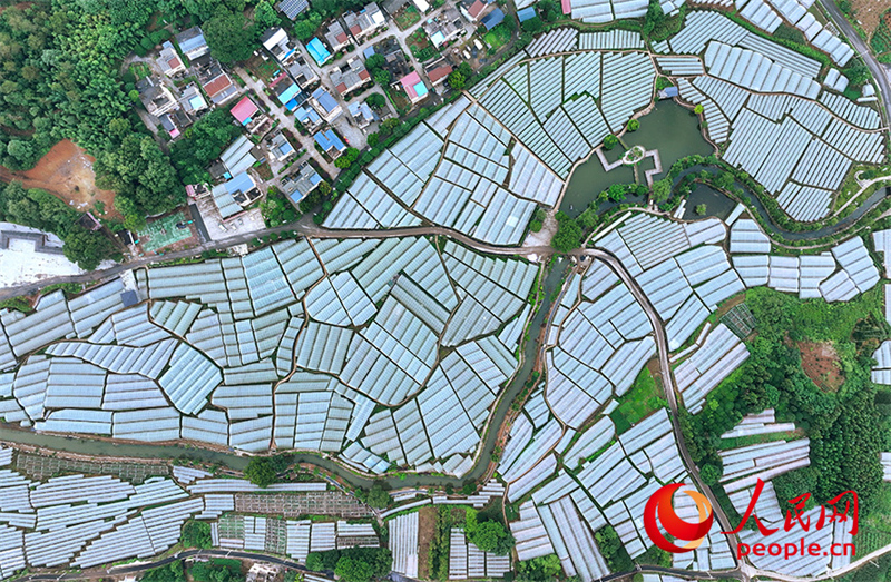 Guangxi : la « machine sucrée » cachée dans le petit village de montagne de Maozhushan