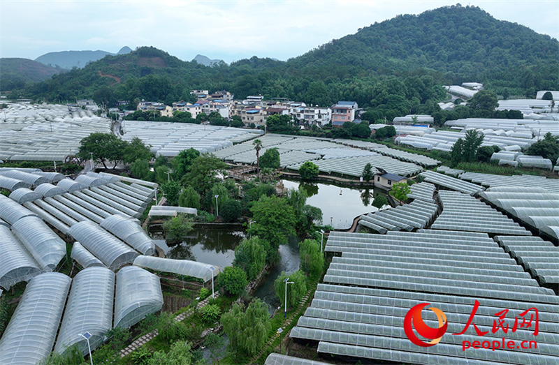 Guangxi : la « machine sucrée » cachée dans le petit village de montagne de Maozhushan