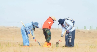 Gansu : les nouveaux points de crédit de plantation d'arbres alimentent des « livrets verts »