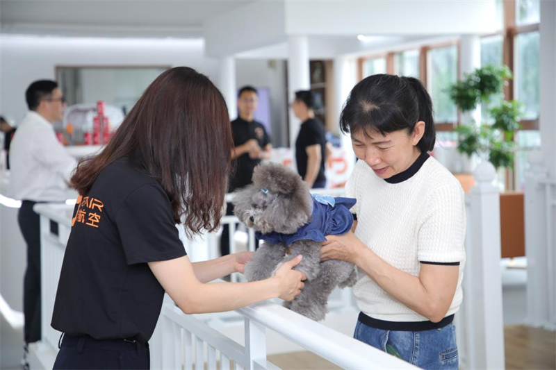 La Chine lance un programme de diplôme universitaire centré sur les animaux de compagnie pour répondre à une demande en hausse