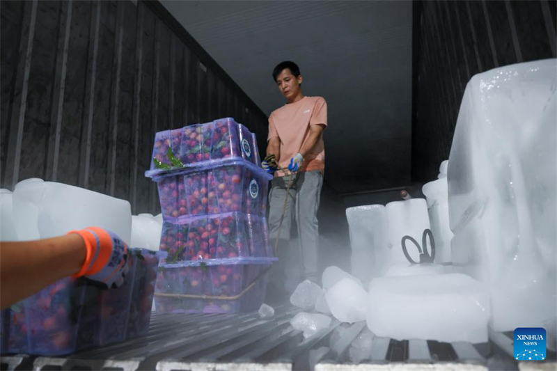 Les litchis de Chine séduisent Dubaï