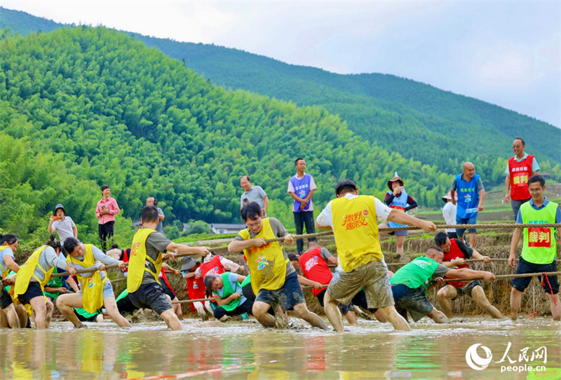 Jiangxi : une rencontre sportive amusante dans des champs en terrasses à Chongyi