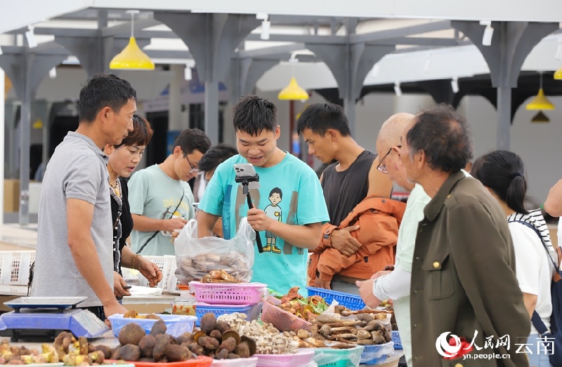 Yunnan : les champignons sauvages de Nanhua sont sur le marché et se vendent bien