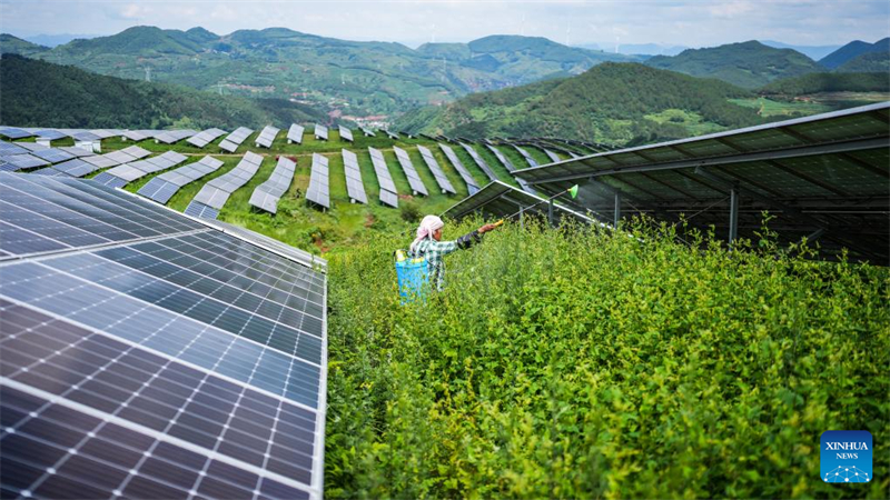 Le Guizhou s'efforce de transformer ses avantages écologiques en forces de développement