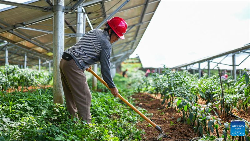 Le Guizhou s'efforce de transformer ses avantages écologiques en forces de développement