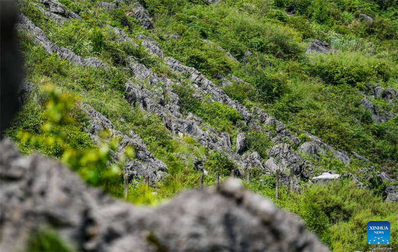 Le Guizhou s'efforce de transformer ses avantages écologiques en forces de développement