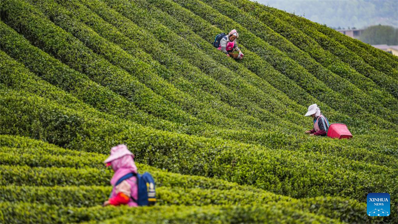 Le Guizhou s'efforce de transformer ses avantages écologiques en forces de développement