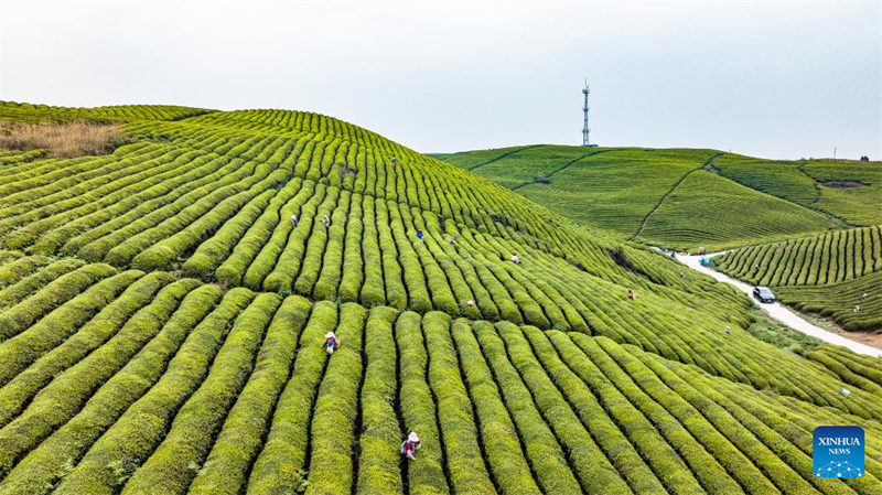 Le Guizhou s'efforce de transformer ses avantages écologiques en forces de développement