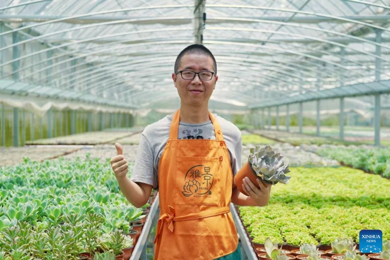 Zhejiang : les plantes en pot ouvrent la voie à la prospérité dans les régions montagneuses de Jingning