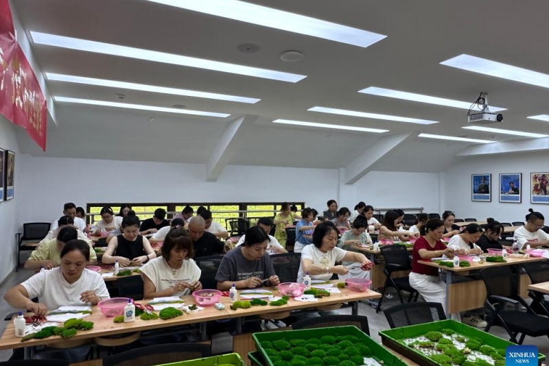 Zhejiang : les plantes en pot ouvrent la voie à la prospérité dans les régions montagneuses de Jingning