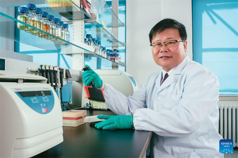 Des scientifiques chinois réussissent une percée dans l'assemblage et le transfert trans-espèces d'ADN humain