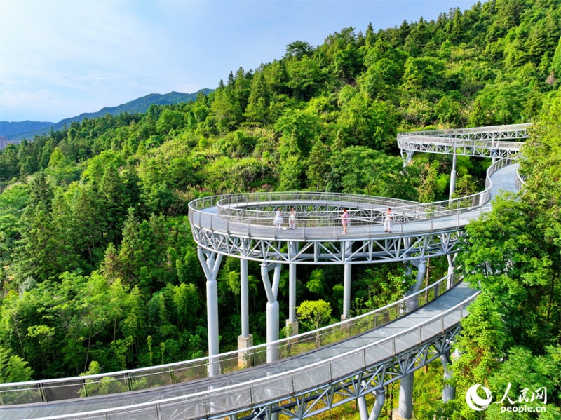 Jiangxi : un « corridor flottant dans la forêt » devient un endroit de choix pour le fitness et les loisirs à Chongyi