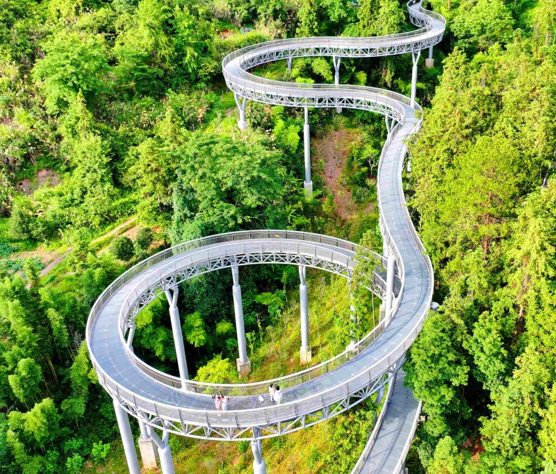 Jiangxi : un « corridor flottant dans la forêt » devient un endroit de choix pour le fitness et les loisirs à Chongyi