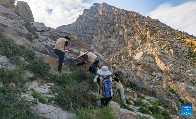Photo prise par drone le 23 juillet 2025 montrant des membres du personnel examinant une peinture rupestre sur le site touristique des gravures rupestres du mont Helan, à Yinchuan, capitale de la région autonome Hui du Ningxia (nord-ouest de la Chine).(Yang Zhisen / Xinhua)