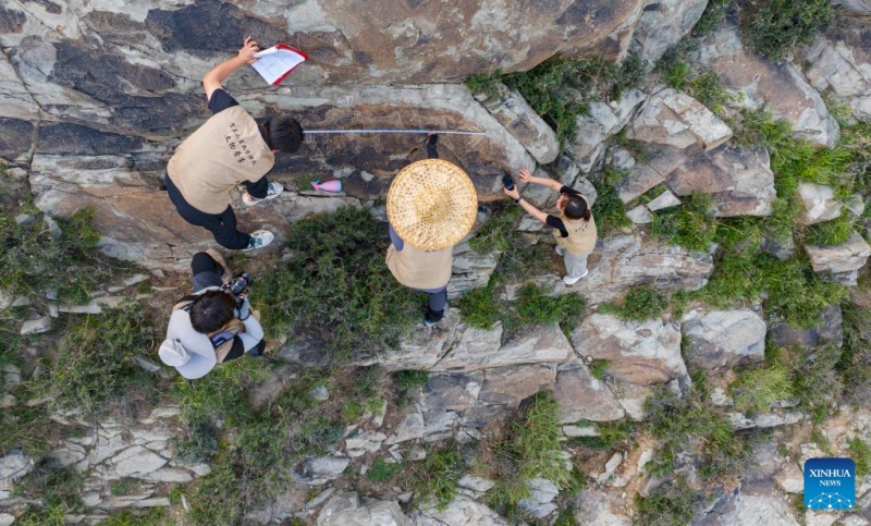 Ningxia : la préservation des peintures rupestres du mont Helan à Yinchuan