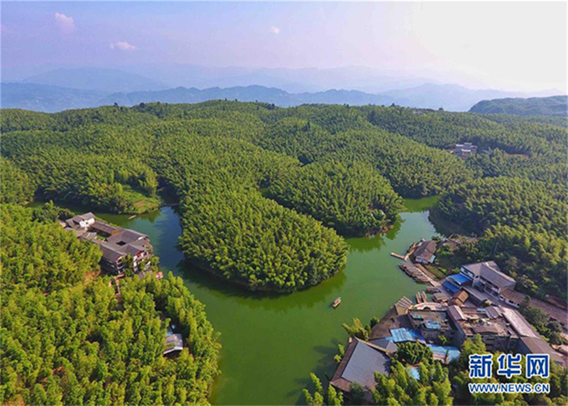 Sichuan : la ville de Yibin encourage l'utilisation du bambou à la place du plastique