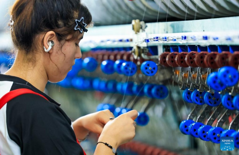 Xinjiang:  À Wusu, la production intelligente de soie de mûrier dynamise la revitalisation des zones rurales