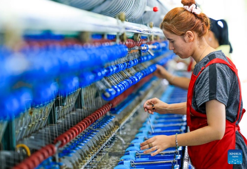 Xinjiang:  À Wusu, la production intelligente de soie de mûrier dynamise la revitalisation des zones rurales
