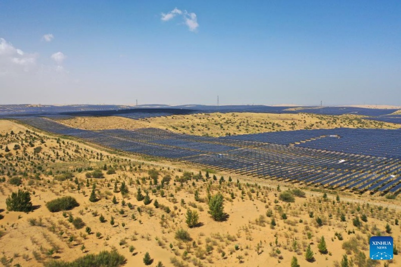 Mongolie intérieure : les projets photovoltaïques stimulent la réadaptation écologique et la croissance économique locales dans le désert de Kubuqi
