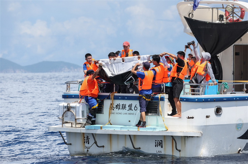 Hainan : un dauphin échoué relâché en mer au large de Wanning