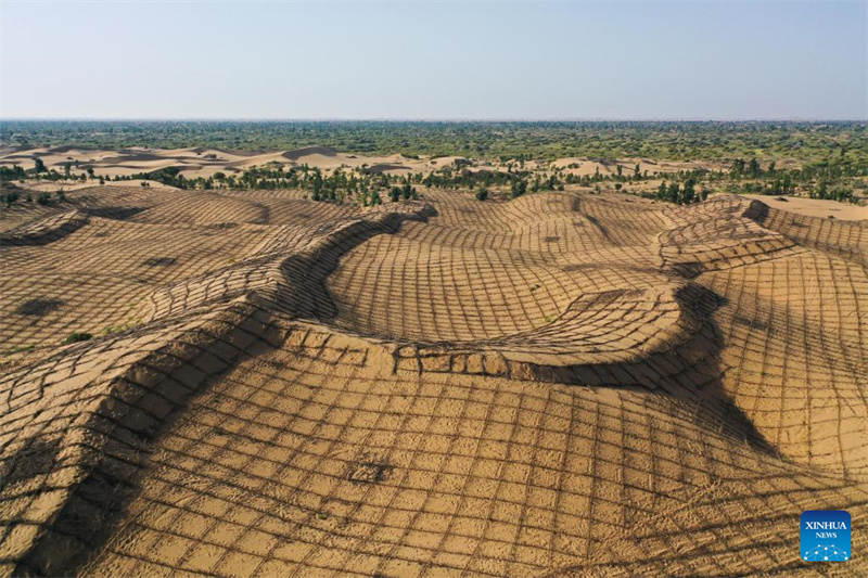 Mongolie intérieure : des projets de contrôle du sable lancés pour améliorer l'environnement écologique du désert de Kubuqi