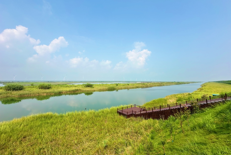 Jiangsu :  ouverture du Forum mondial sur les zones côtières 2025 à Yancheng
