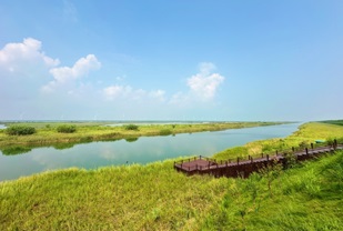 Jiangsu :  ouverture du Forum mondial sur les zones côtières 2025 à Yancheng