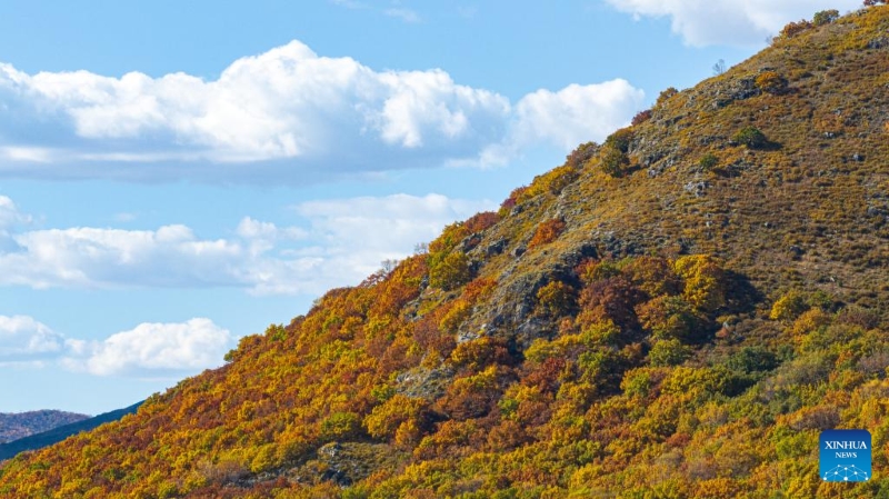 Mongolie intérieure : les magnifiques paysages d'automne de la Bannière de Horqin