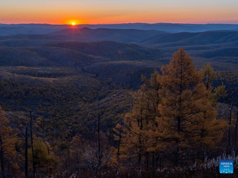 Mongolie intérieure : les magnifiques paysages d'automne de la Bannière de Horqin
