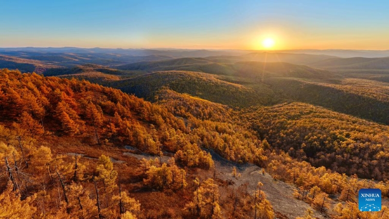 Mongolie intérieure : les magnifiques paysages d'automne de la Bannière de Horqin
