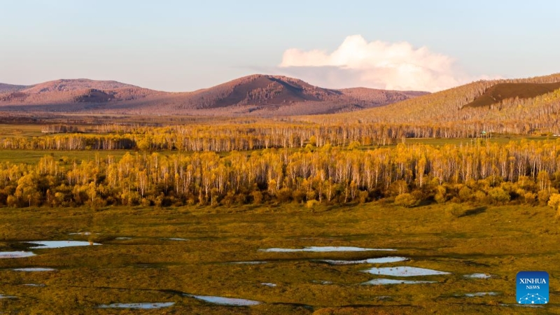 Mongolie intérieure : les magnifiques paysages d'automne de la Bannière de Horqin
