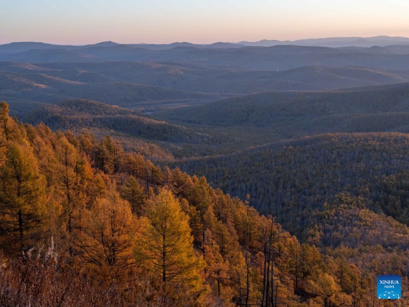 Mongolie intérieure : les magnifiques paysages d'automne de la Bannière de Horqin