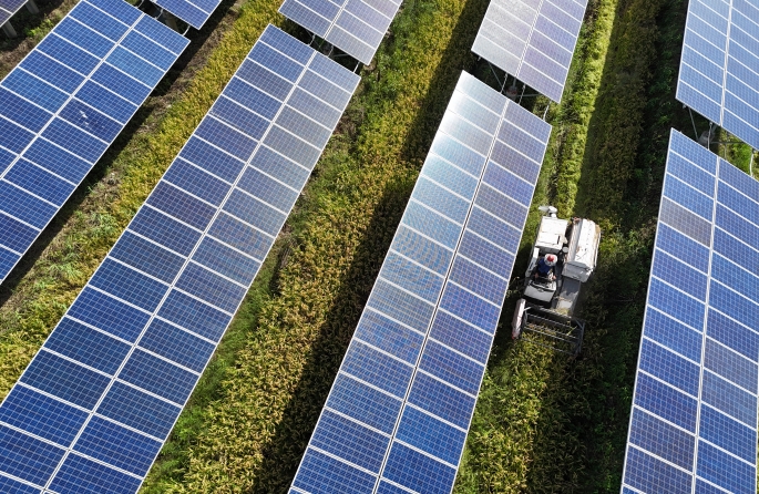 Zhejiang : la récolte du riz sous les panneaux photovoltaïques à Yueqing